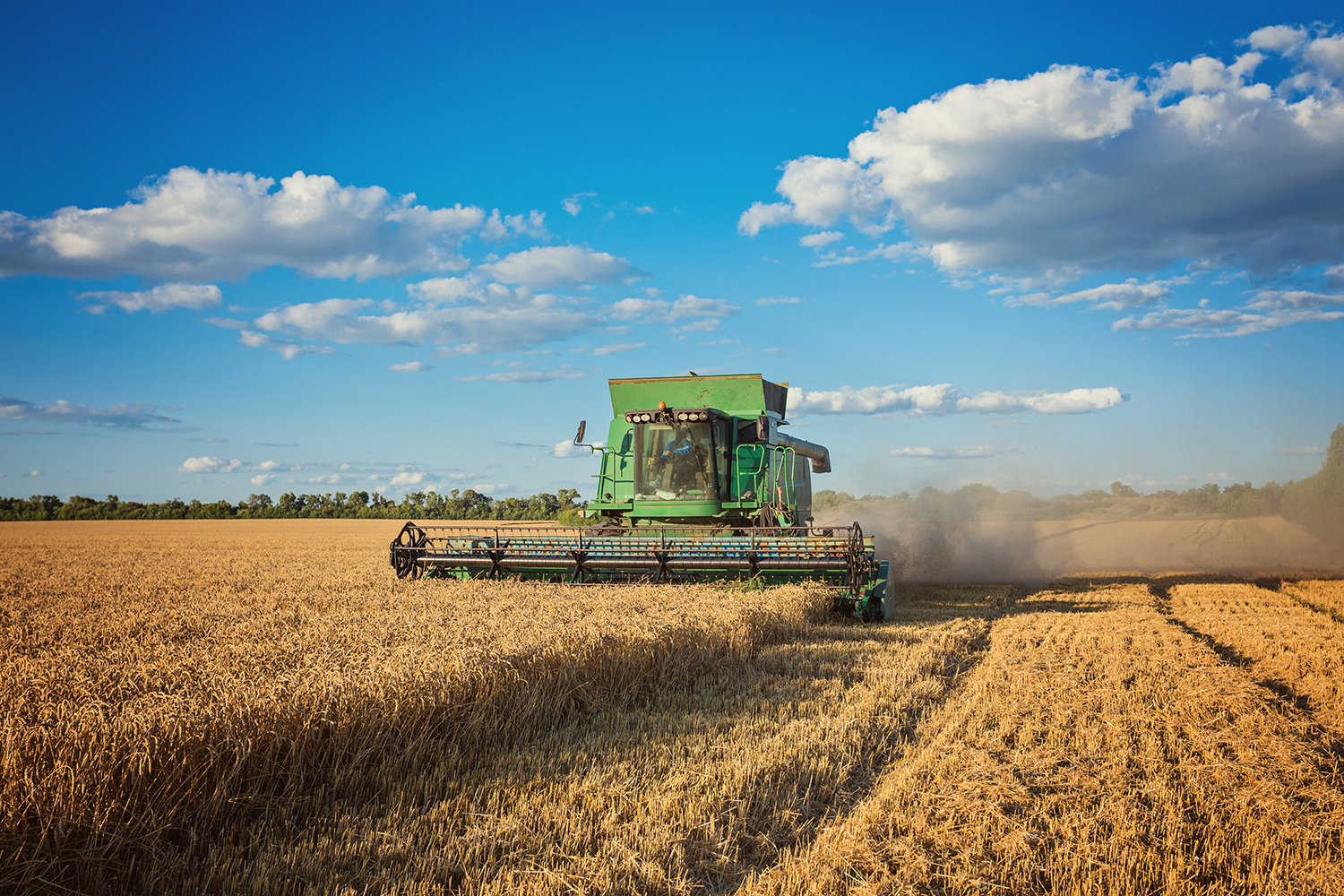 Leia mais sobre o artigo O “boom” do agro: por que o Brasil se tornou o maior exportador de soja e milho do mundo?